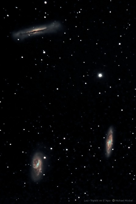 Leo Triplett