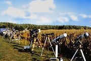 Die Fernrohrparade am Maisfeldrand