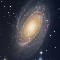 M 81