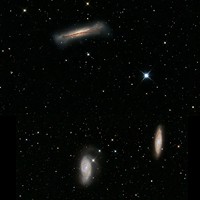 Leo-Triplett / �bersicht