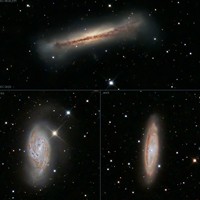 Leo-Triplett / Details