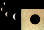 Venus