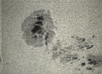 Mit Klick ins Bild gelangt man zum n�chsten