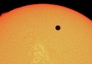 Venustransit in H-alpha