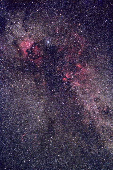 Cygnus, nord�stl. Teil &copy; Ralf Hofner