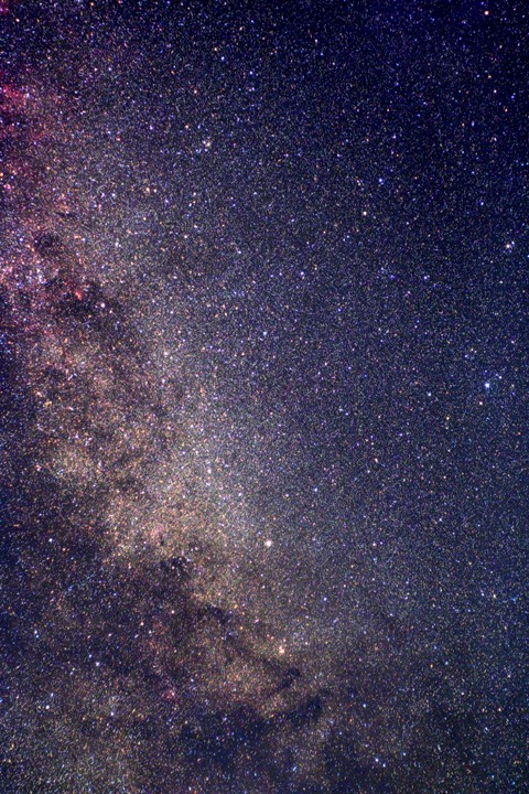 Cygnus, s�dwestl. Teil &copy; Ralf Hofner